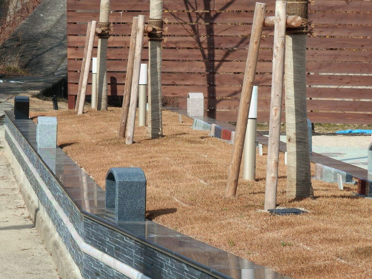 樹木葬をご存知ですか？〜供養の流れ・費用は？